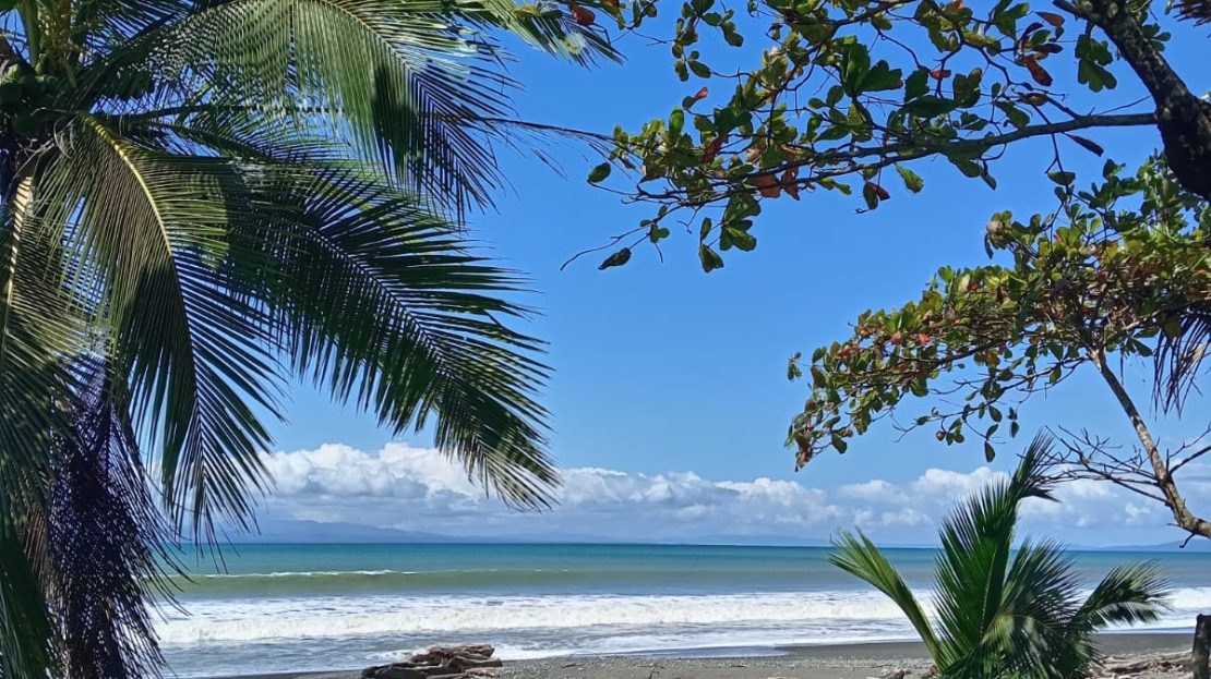 Golfito>Rio Claro de Pavones Real Estate Listings 27061