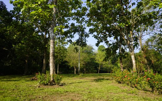 Beautiful Titled Flat Lot Close to "Rio Higuito", Walking Distance to Saw Mills Beach