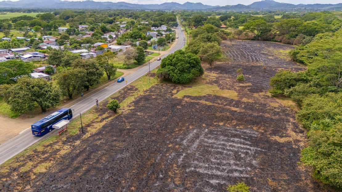 Lots for Development in Guardia