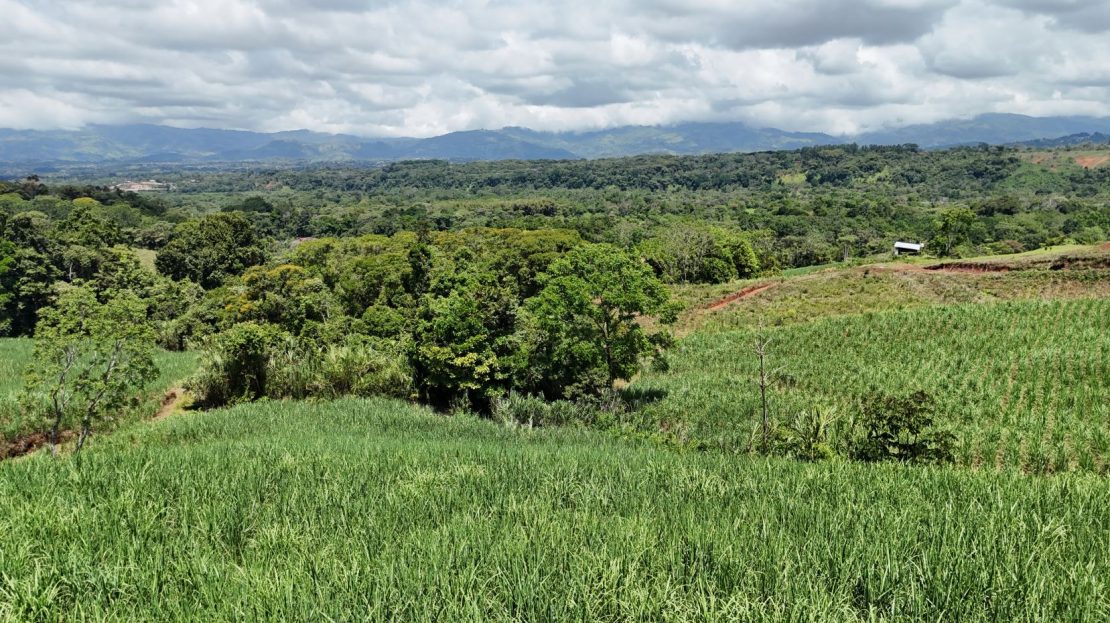 Costa Rica Real Estate