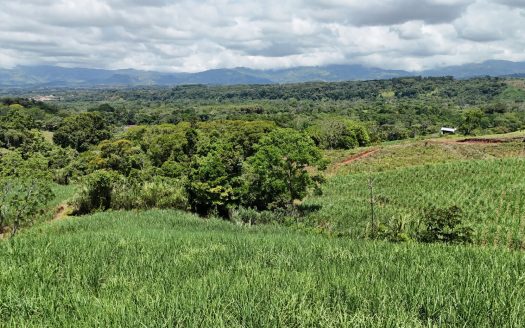 For Sale – Natural 2.5 Ha Retreat In General Viejo, Ready To Build With Stream & Views