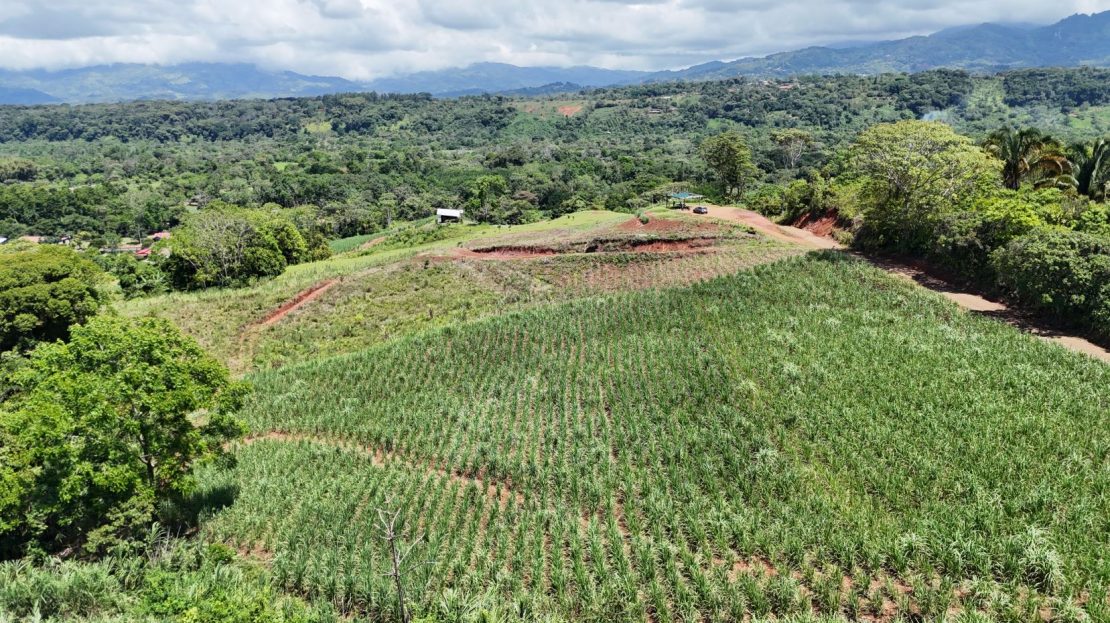 Ready To Build With Stream & Views