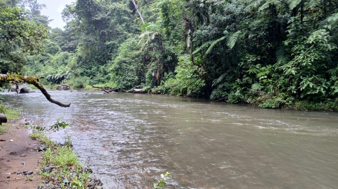 Costa Rica Real Estate