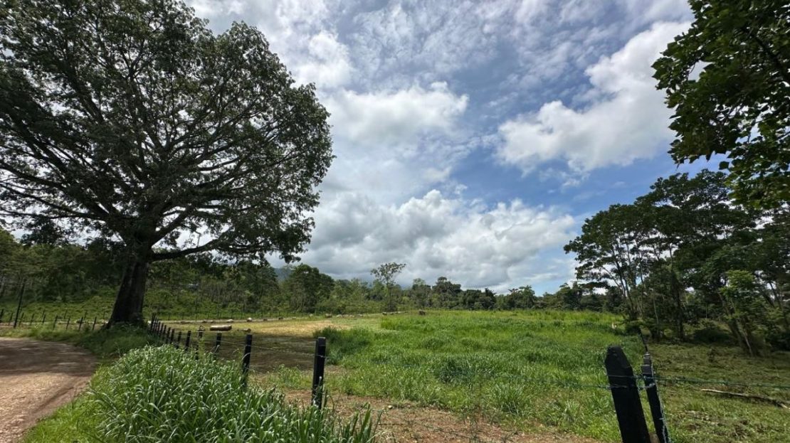 Costa Rica Real Estate