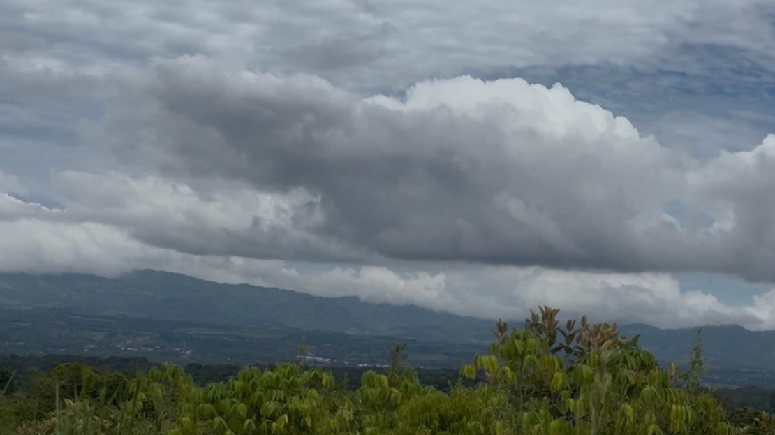 This is a treasure! Expansive Lots for sale in the unique Quizarra