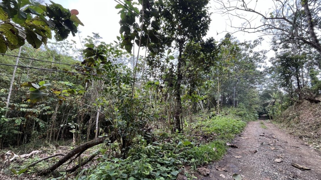 Costa Rica Real Estate