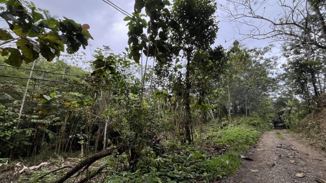 2.5 Acres near the beach Playa Linda