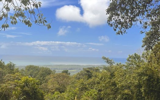 Hidden Gem with Spectacular Ocean Views in a Prime Location