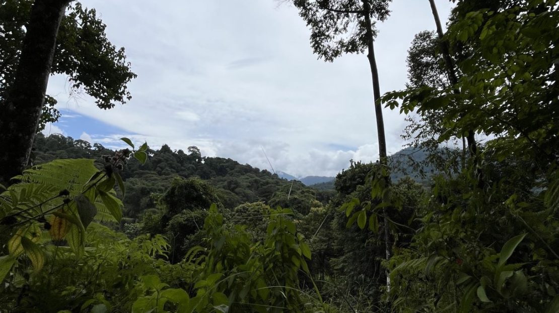 Views & Utilities - Owner Financing!