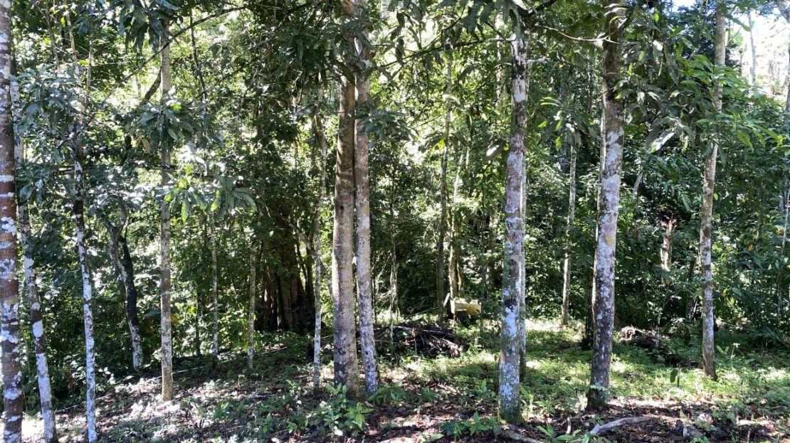 Lot for sale in la Palma