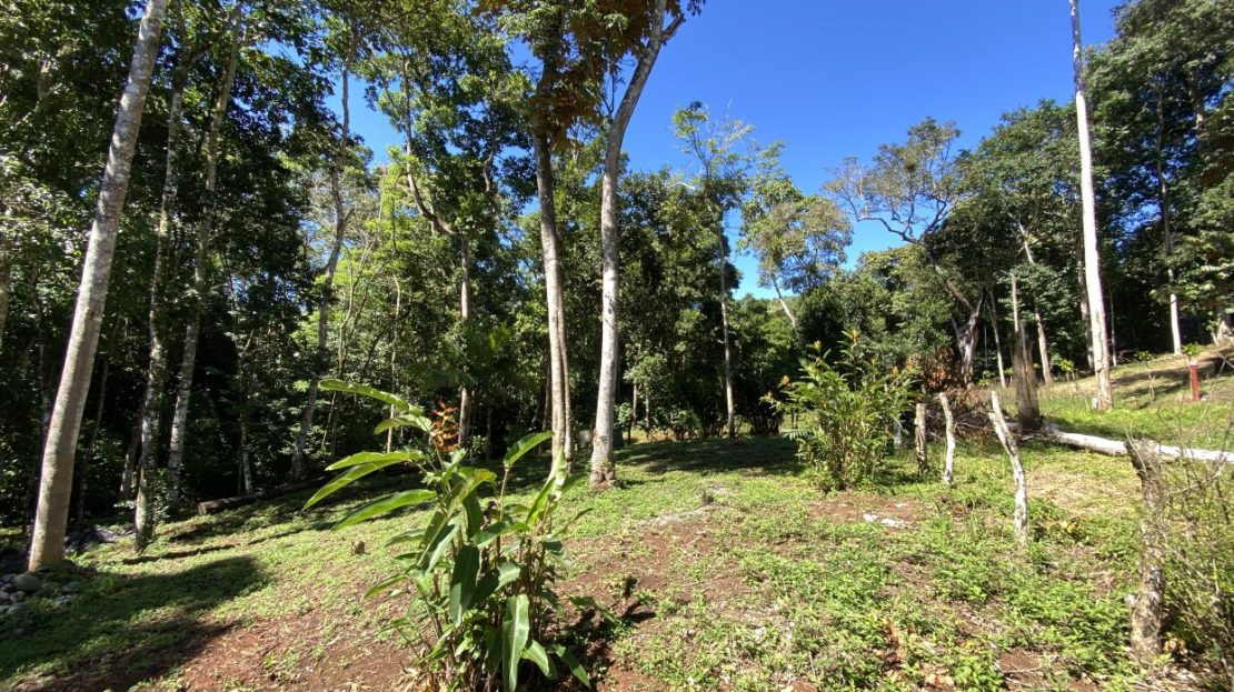 privacy and tranquility   in Pérez Zeledón