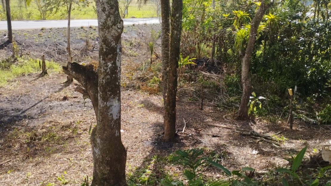 Prime Coastal Land Investment Opportunity - Quepos