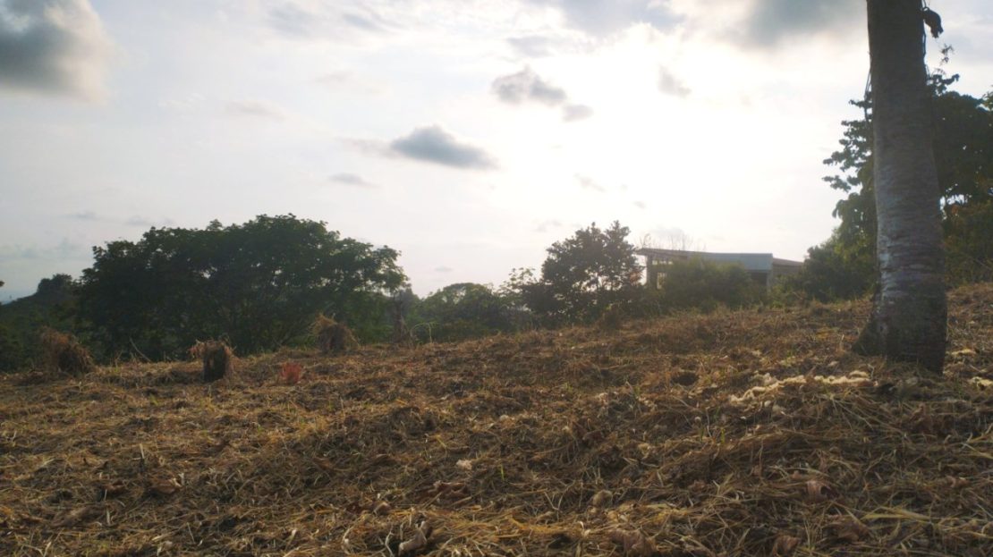 Costa Rica Real Estate