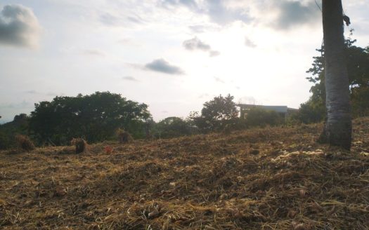 Spacious Residential Lot in Chontales Ideal for Building.