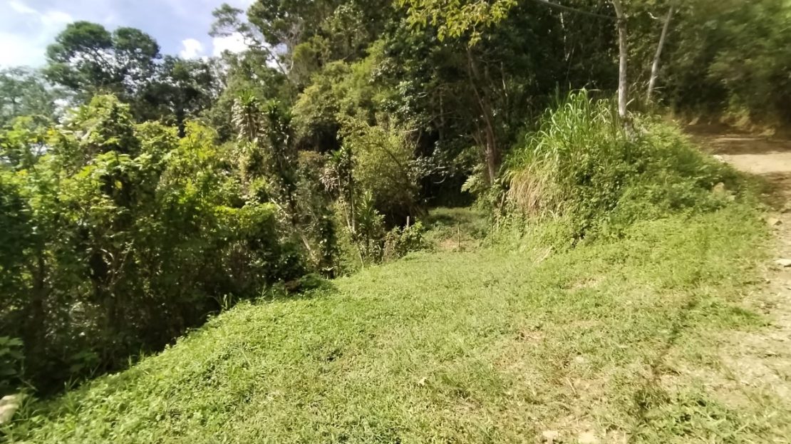 Costa Rica Real Estate