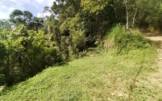 Off-Grid Opportunity – Private Retreat Lot for Sale in Perez Zeledon