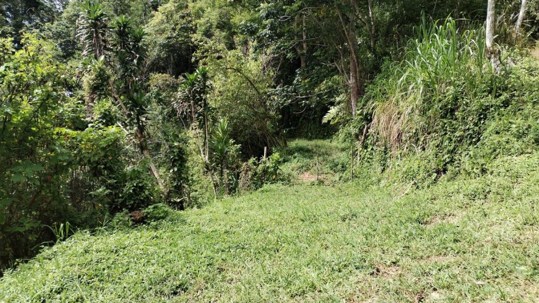 Off-Grid Opportunity - Private Retreat Lot for Sale in Perez Zeledon