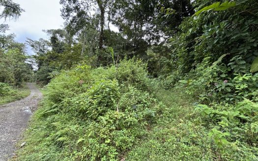 Mountain Haven with Waterfall, Wildlife & Organic Soil — A Refuge for Visionaries