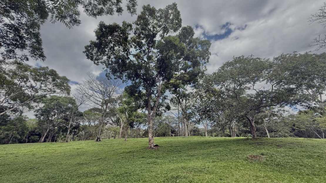 SPECTACULAR PROPERTY FOR SALE – EL RODEO DE MORA