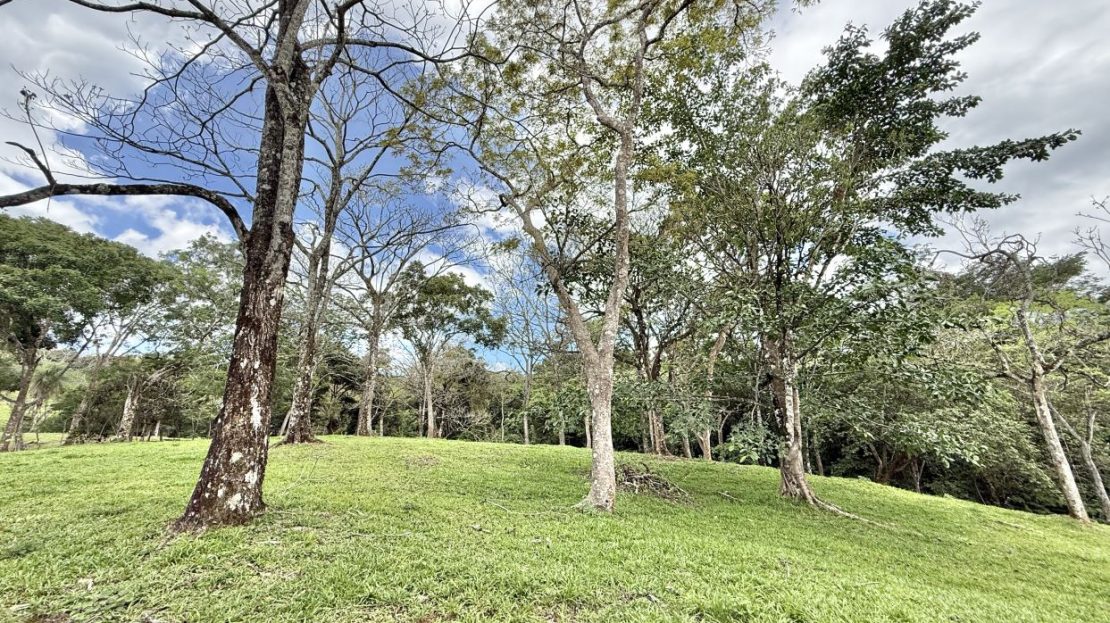 Costa Rica Real Estate