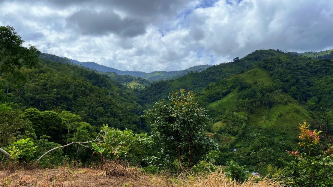 Costa Rica Real Estate