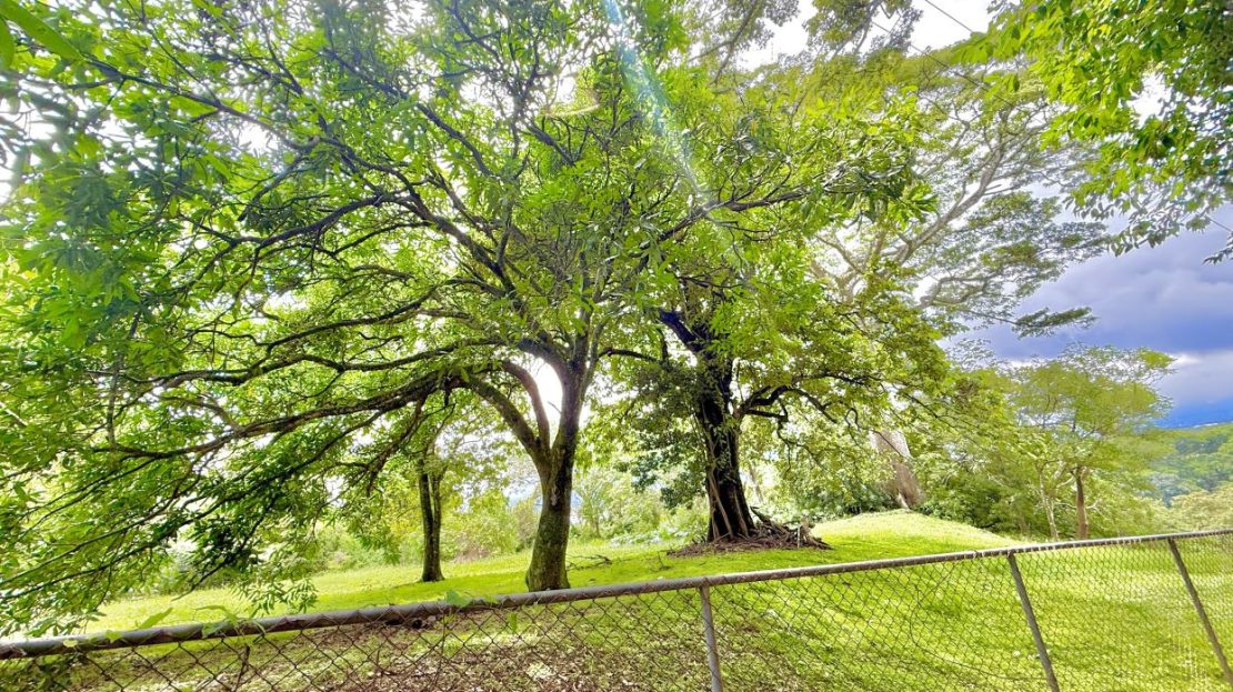 Lot for Sale – Brasil de Santa Ana | 7