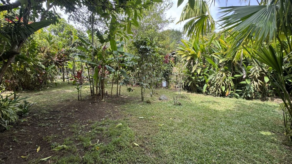 Costa Rica Real Estate