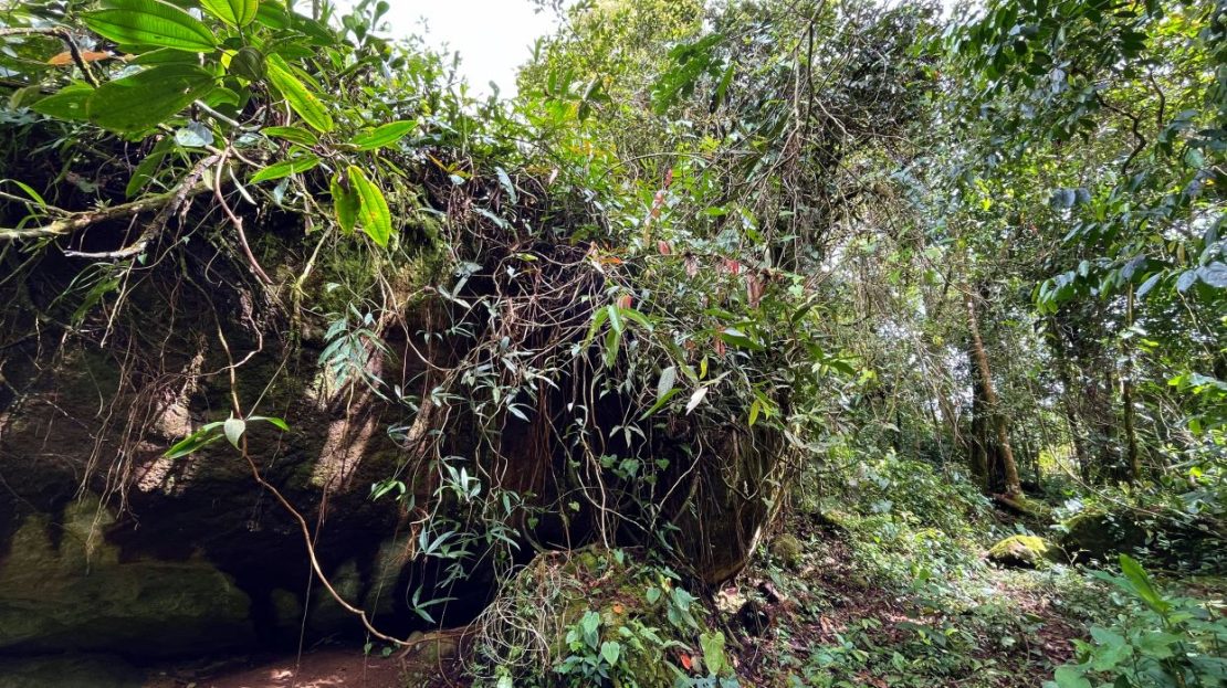 For Sale: Lot in Santa Elena Perez Zeledon – 2000m²