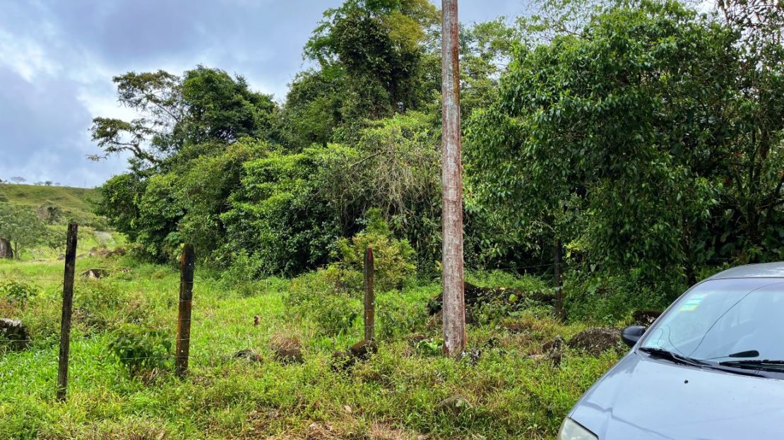 Costa Rica Real Estate