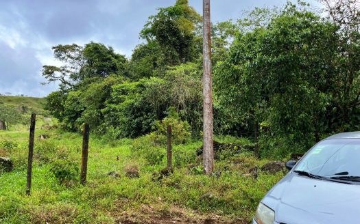 For Sale: Lot in Santa Elena Perez Zeledon – 2000m²