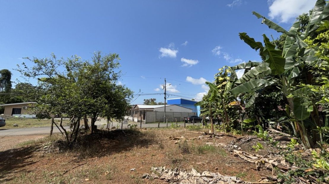 Looking for an Affordable Lot Near Marina Pez Vela?