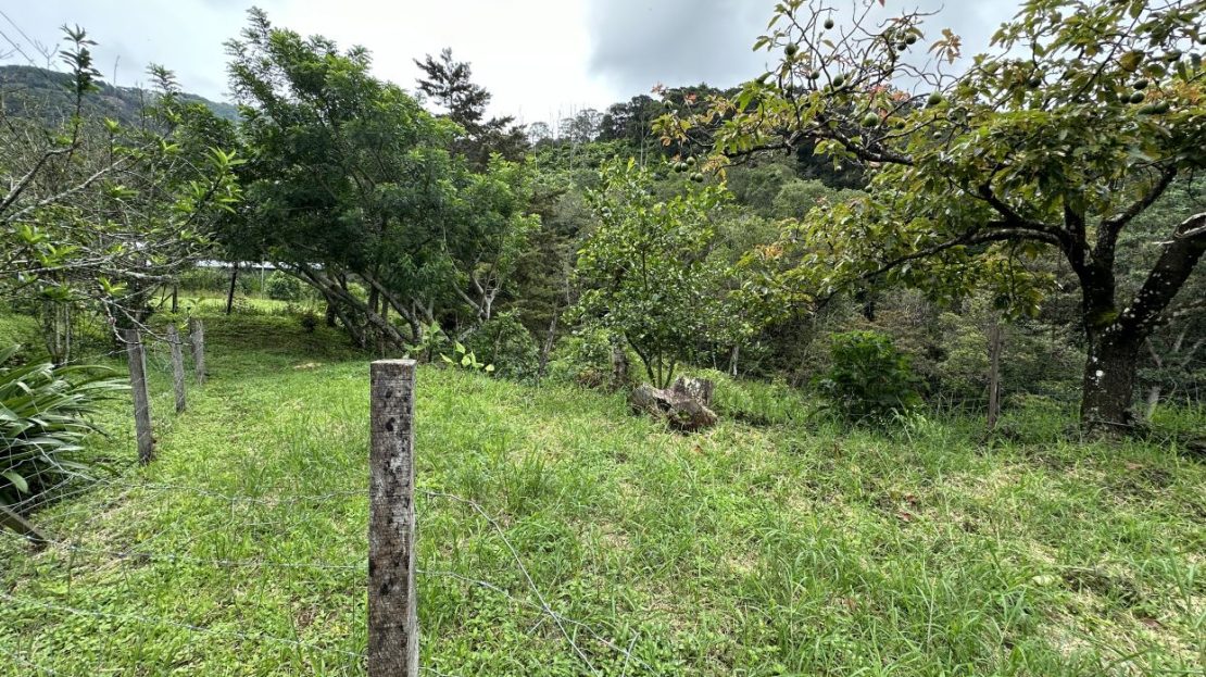 Your Mountain Retreat in Costa Rica: Tranquility