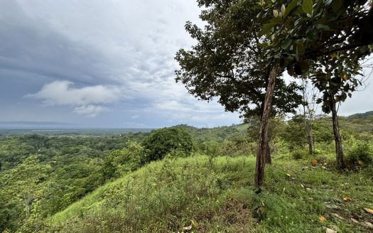 Where Mountains Touch the Sea