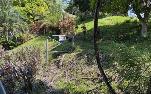 Affordable lot in Quepos minutes from the Marina – water and electricity are available