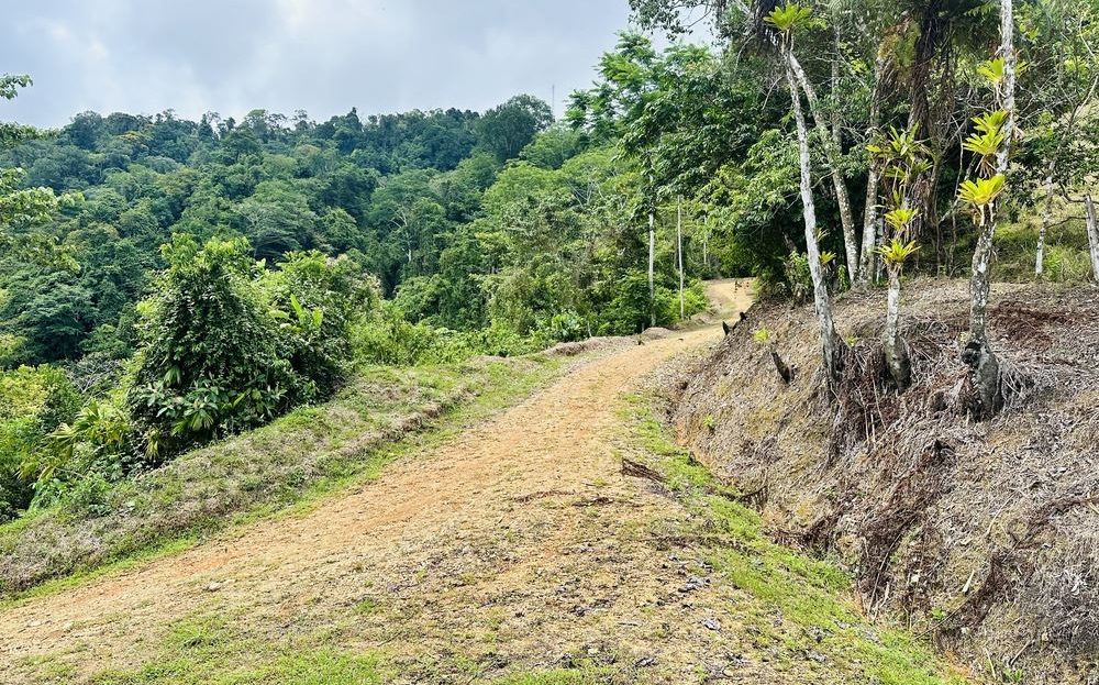 Costa Rica Real Estate