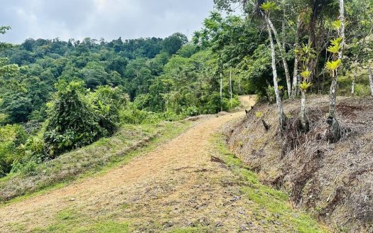 179 Acres Property with Stunning Views and Endless Potential