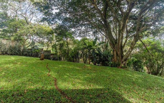 Forest farm for sale in Alajuela