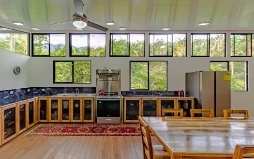 OFF GRID – SELF-SUSTAINABLE HOUSE FOR SALE IN SAN PEDRITO,(1,3HECT) PEREZ ZELEDON