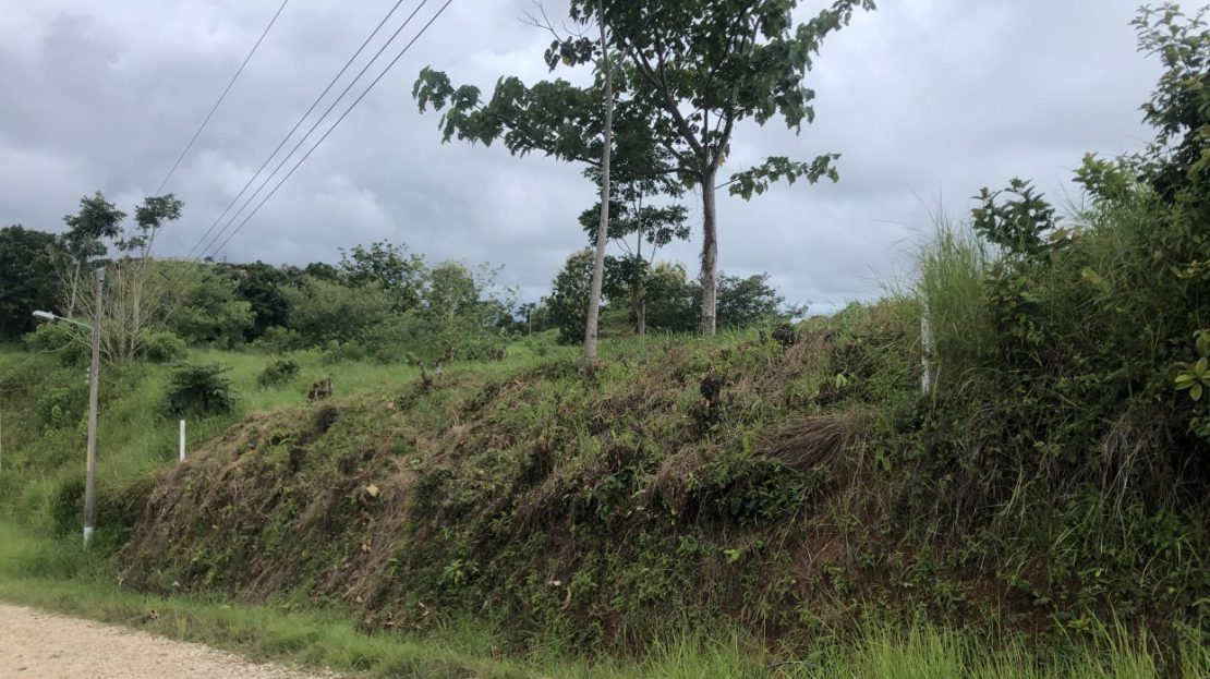 Costa Rica Real Estate