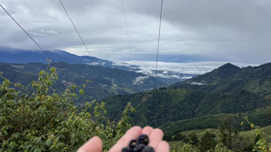 Farm with wide views of the mountains.