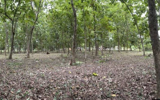 Ready-to-build flat lot in Cortez Lot 3