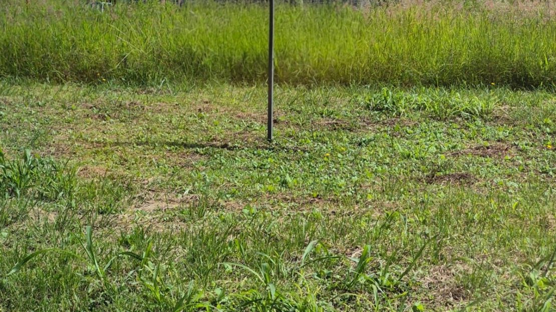 Costa Rica Real Estate