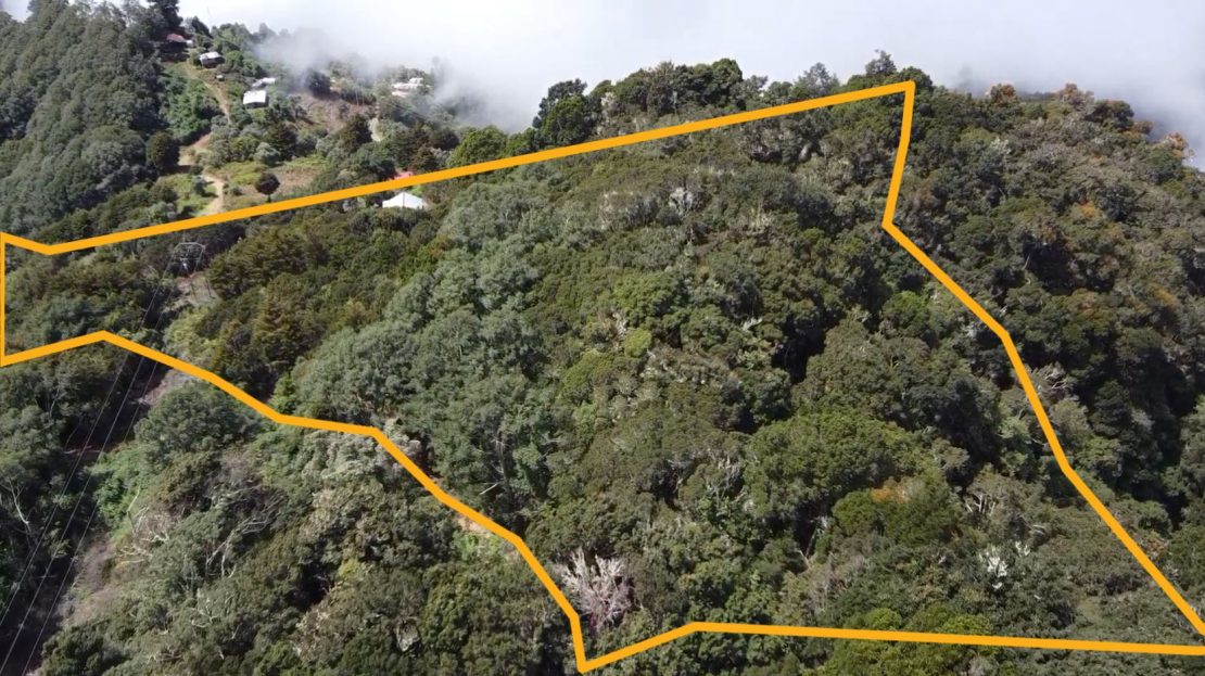 Costa Rica Real Estate