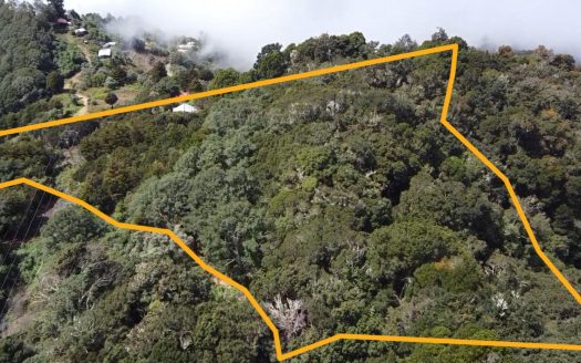 Beautiful Cabin For Sale In The Heart Of Primary Forest With Stunning Ocean Views In Perez Zeledon