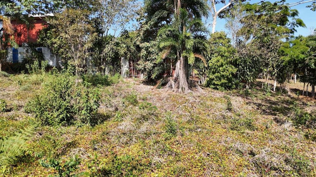 Costa Rica Real Estate