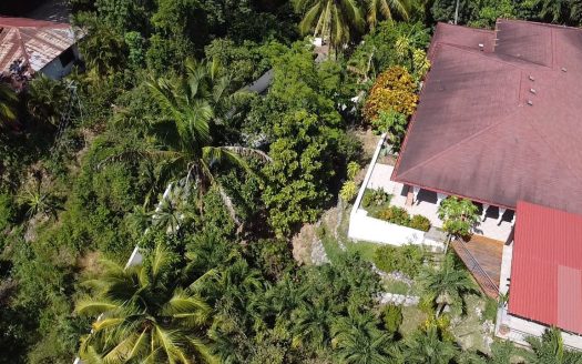 Ocean-View Home Near Samara Beach with Apartment and Casita-Villa las Palmas