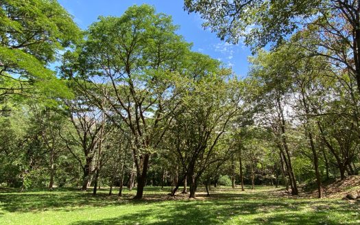 Luxury Property for Sale with River and Lush Nature — 44,594 m²