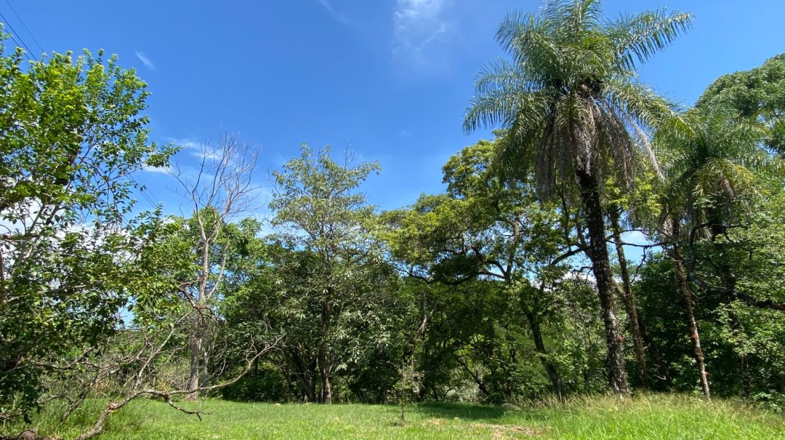 Orotina For Sale 31057 | RE/MAX Costa Rica Real Estate