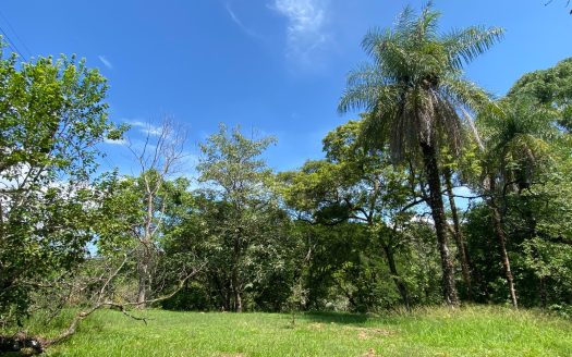 Orotina For Sale 31057 | RE/MAX Costa Rica Real Estate