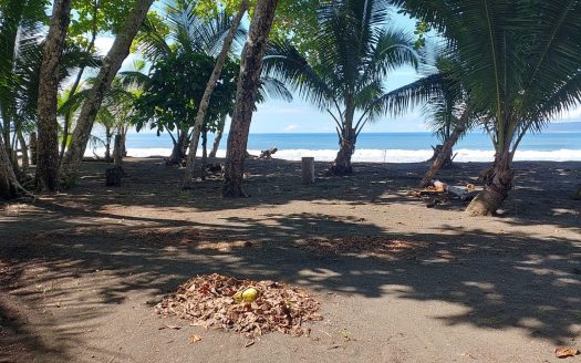 Osa For Sale 34803 | RE/MAX Costa Rica Real Estate